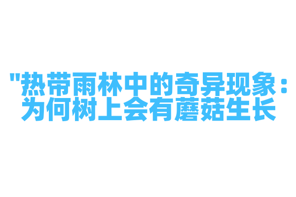 "热带雨林中的奇异现象：为何树上会有蘑菇生长？"
